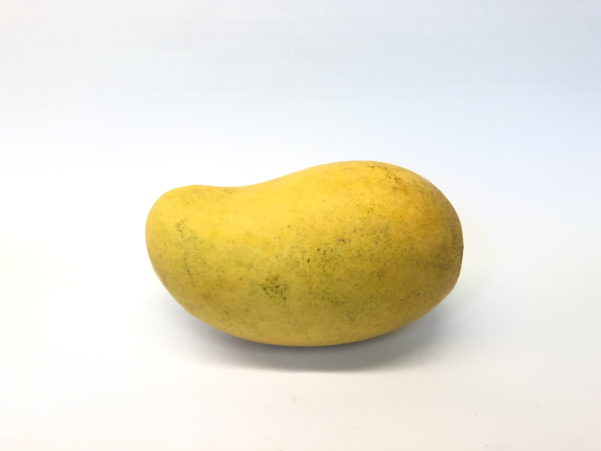Mangue José