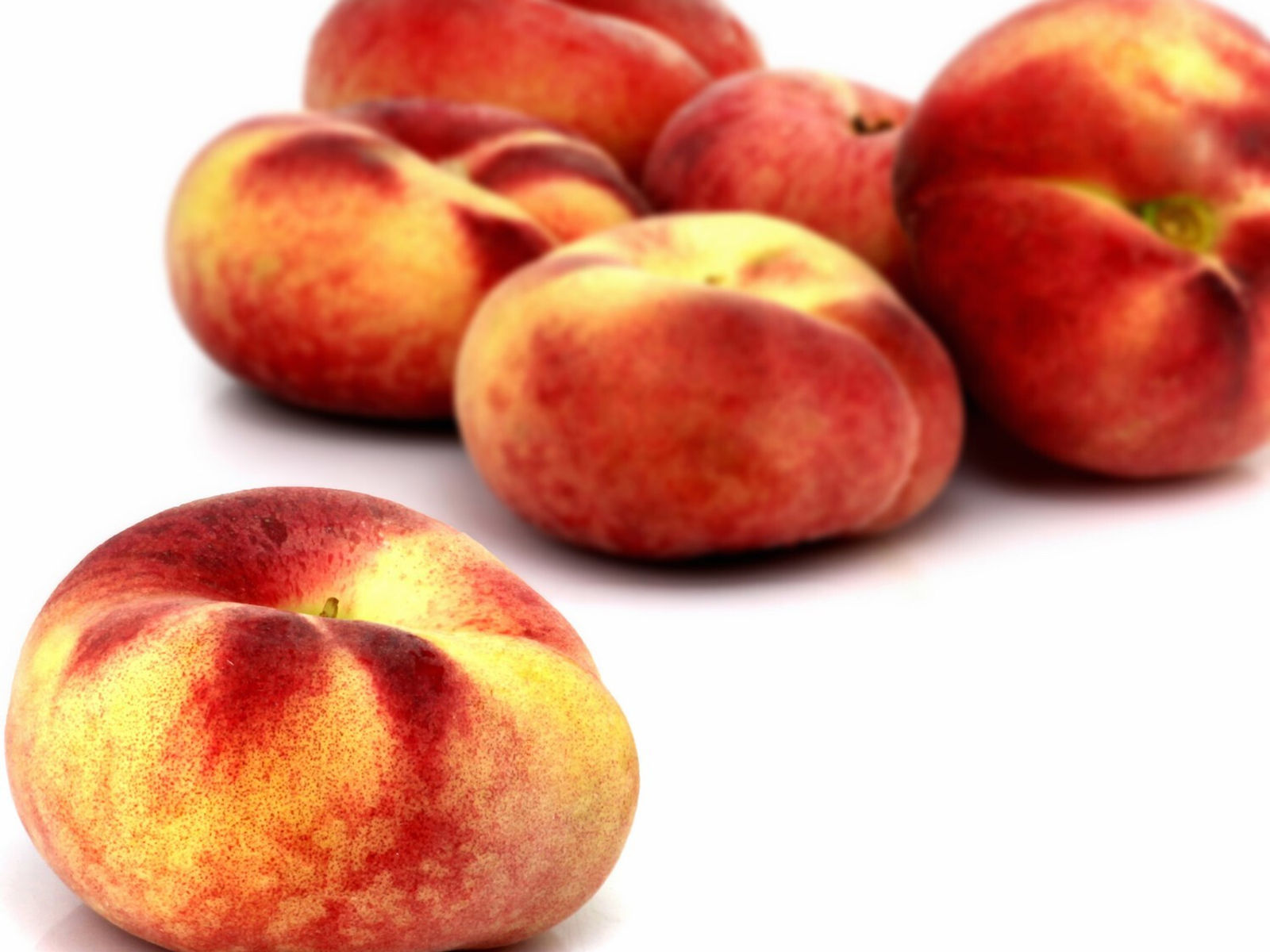 Pêche