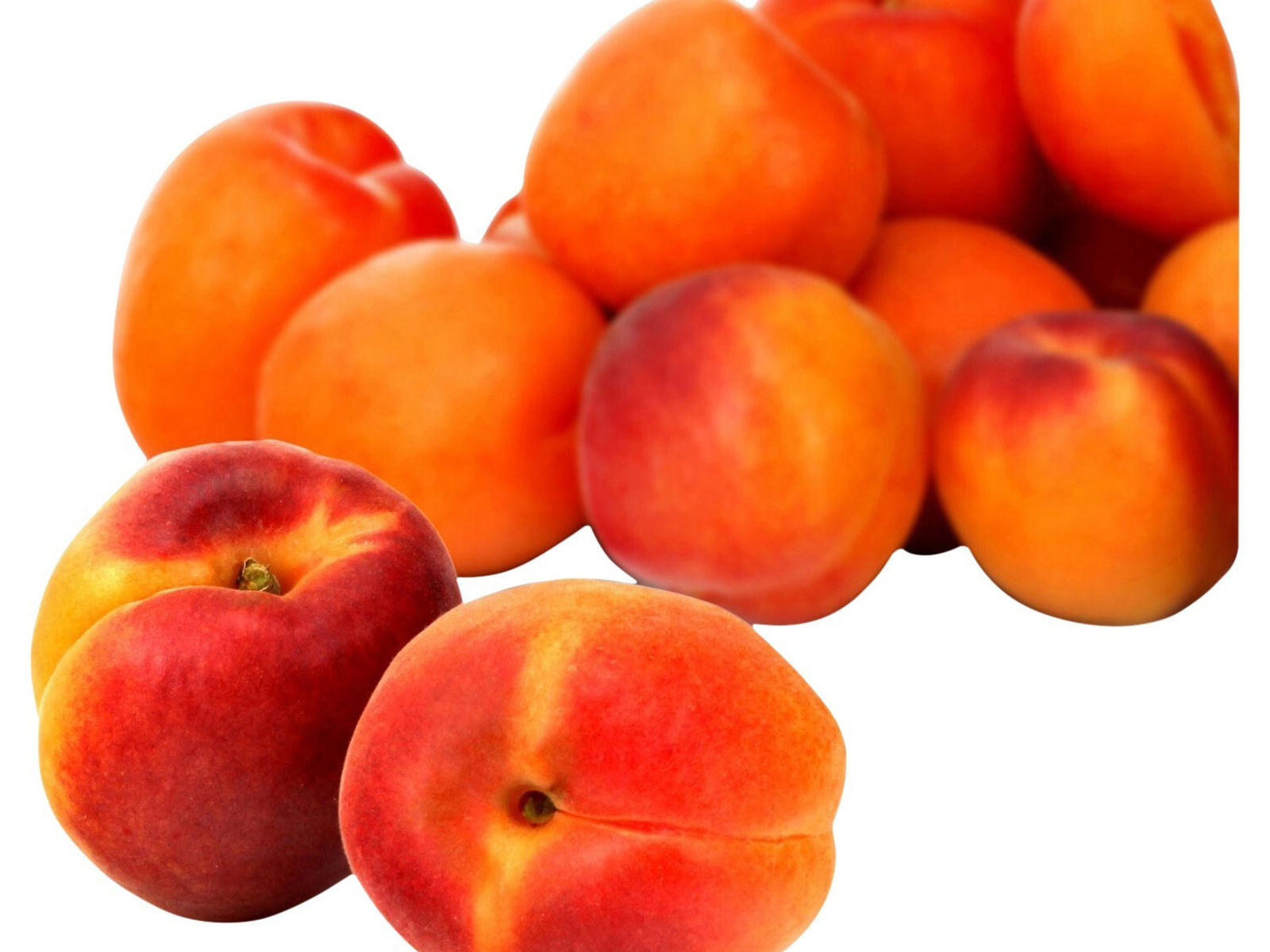 Fruits secs & noix