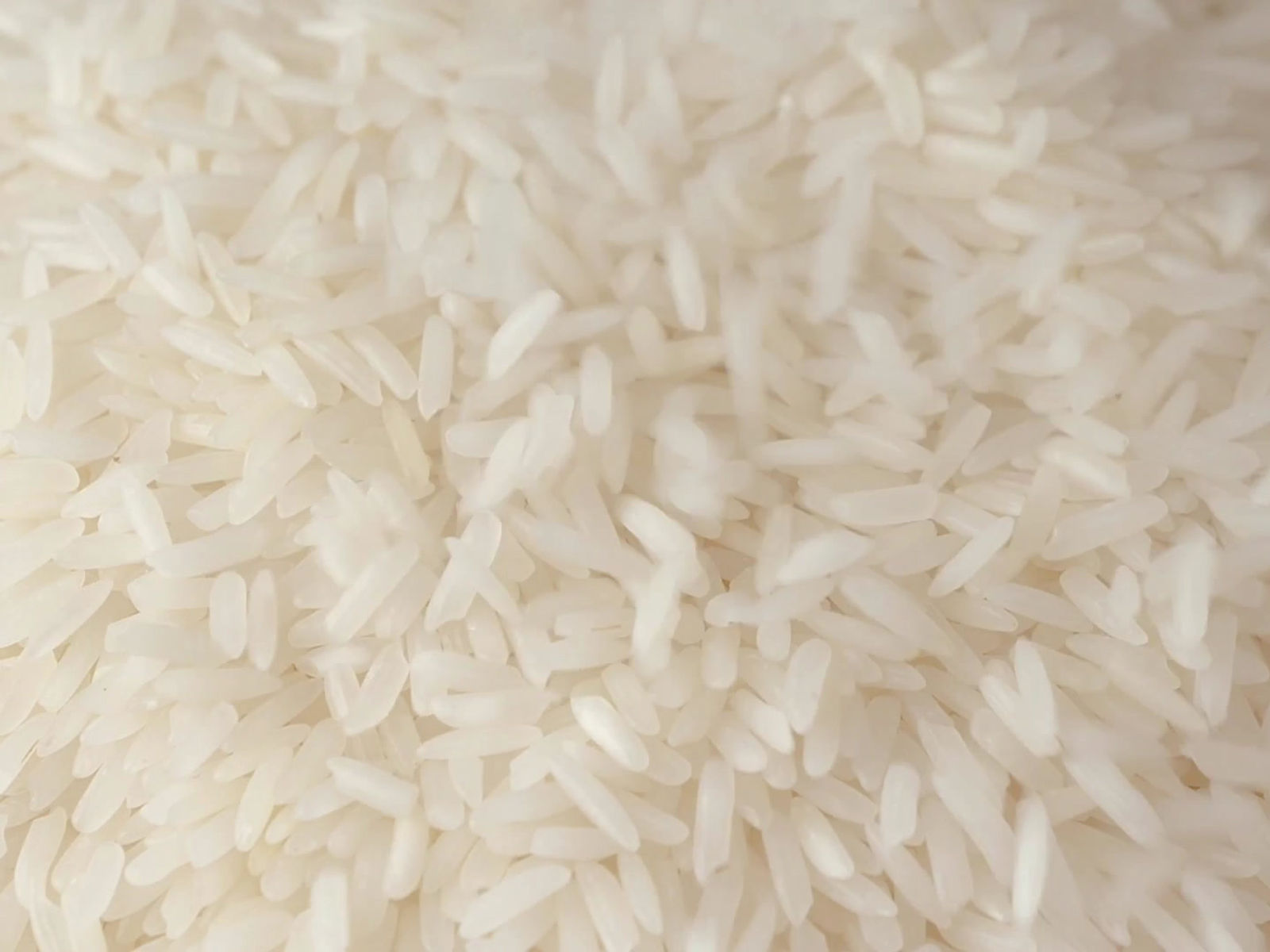 Riz & nouilles